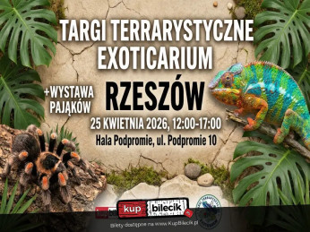 Rzeszów Wydarzenie Inne wydarzenie Największe Targi Terrarystyczne w Rzeszowie - Exoticarium!