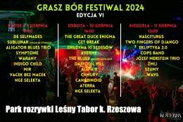 Niechobrz Wydarzenie Festiwal Grasz Bór Festiwal 2024 - Bilet jednodniowy